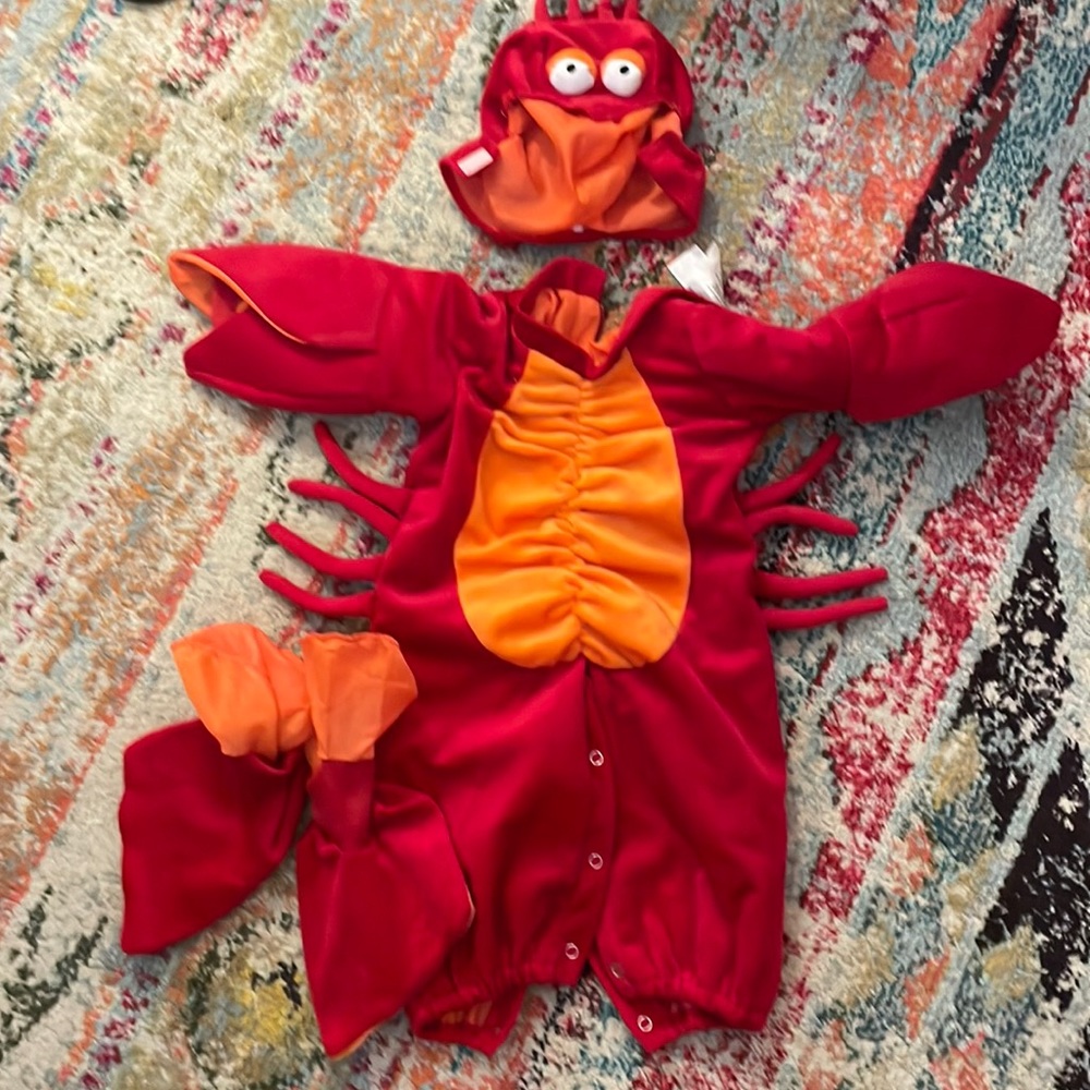 Little lobster costume!